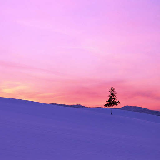 Wallpaper for Huawei Mate 10 screenshot 23