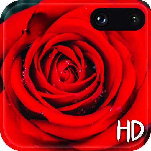 Red Rose Live Wallpaper Free 1.1