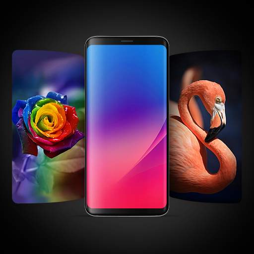 4K HD Wallpapers 1.1
