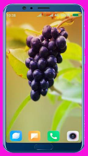 Grapes HD wallpaper screenshot 3