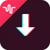 Video Downloader logo