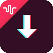 Video Downloader 1.5