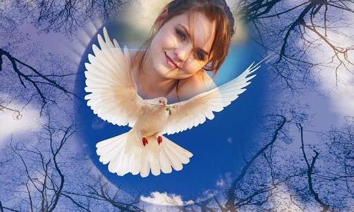 Birds Photo Frame screenshot 2