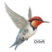 Bird Live Wallpaper 1.0