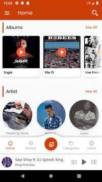 Ghana Music & MP3 Player screenshot 3