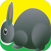Bunny Games for Kids icon