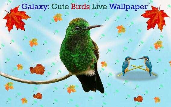 Cute Birds Live Wallpaper screenshot 2