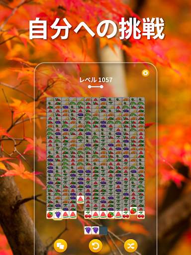 Zen Match screenshot 8
