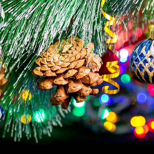 Macro Christmas Live Wallpaper icon