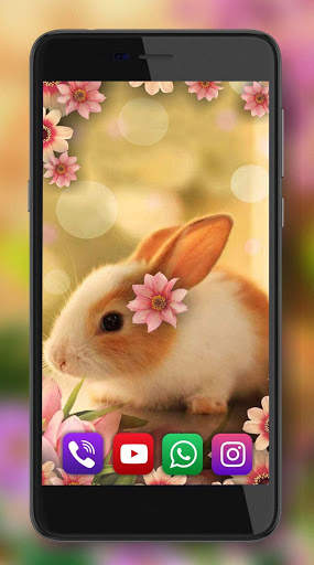Bunny Funny HD Live Wallpaper screenshot 2