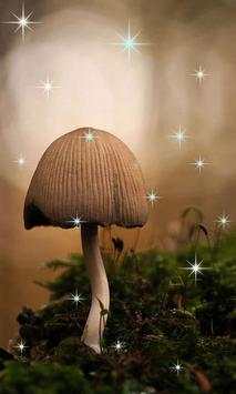 3D Mashroom Live Wallpaper screenshot 2