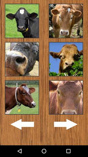 Funny Cow Farm Sounds screenshot 2