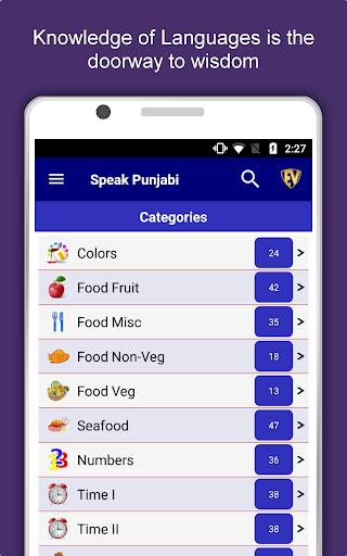 Speak Punjabi : Learn Punjabi Language Offline screenshot 9