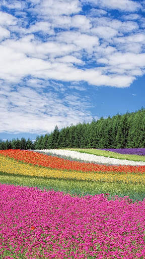 Spring Live Wallpaper screenshot 2