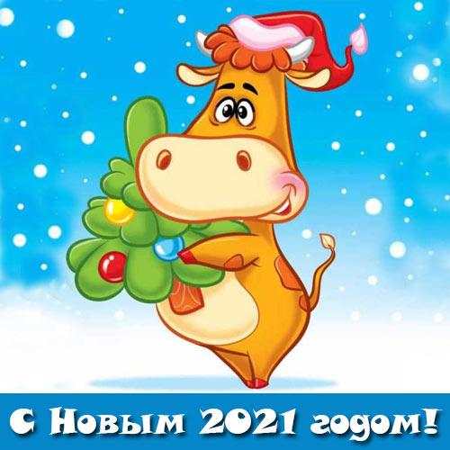 С Новым Годом 2021 1 تصوير الشاشة