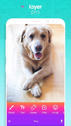 Photo editor HD, selfie camera,collage maker screenshot 7