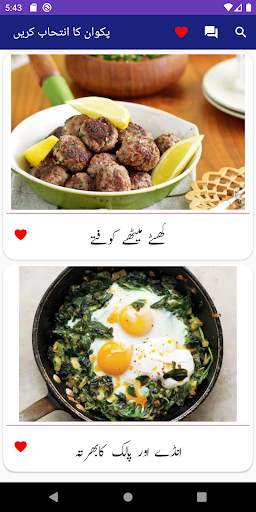 Pakistani Food Recipes In Urdu screenshot 7