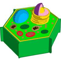 Biología Teoría Gratis on 9Apps