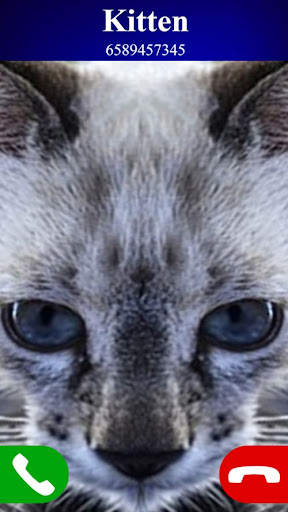 fake call cat game screenshot 3