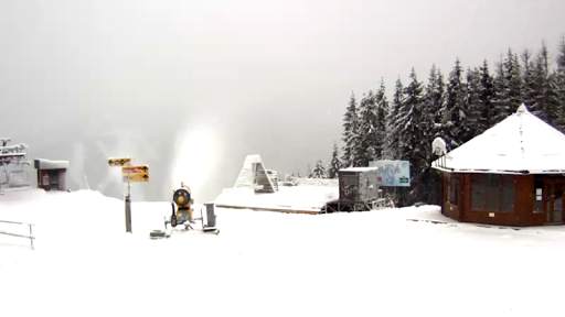 Ski Cams Ua screenshot 2