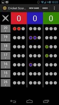 Cricket Scoreboard screenshot 2
