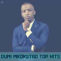 Dumi Mkokstad - Top Hits Offline logo