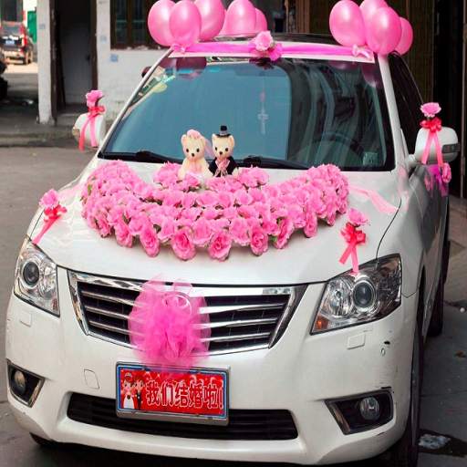 Decoration Car Wedding 1.0.0
