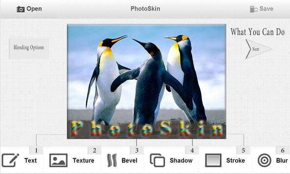 PhotoSkin screenshot 1