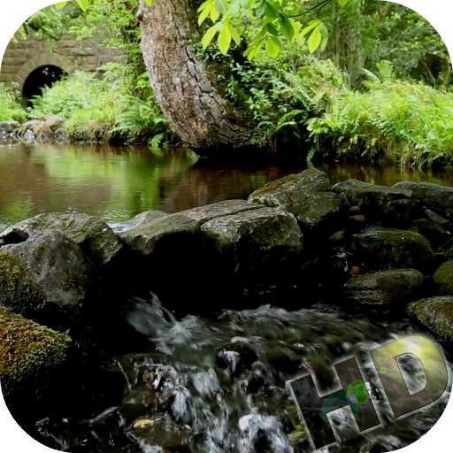 Rivers Video Live Wallpaper 4.0
