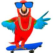 Funny Talking Parrot