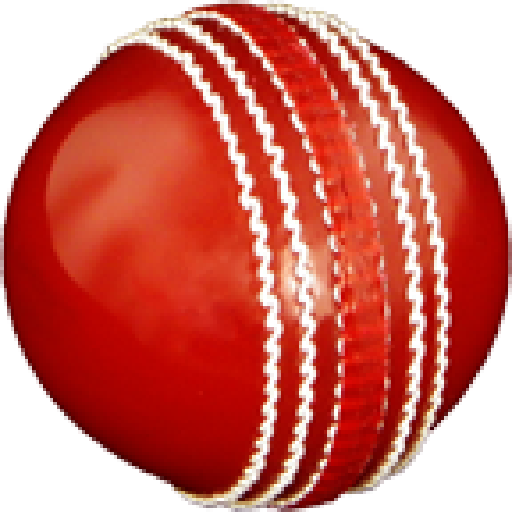 Cricket All-rounder | Practice icon