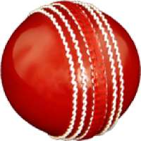 Cricket All-rounder | Practice