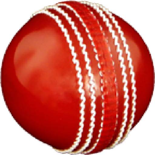 Cricket All-rounder | Practice 9.3