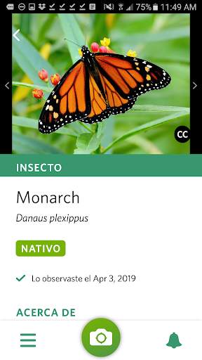 Seek, por iNaturalist screenshot 2