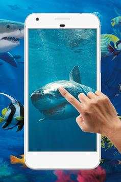Shark Water Ripple Live Wallpaper screenshot 4