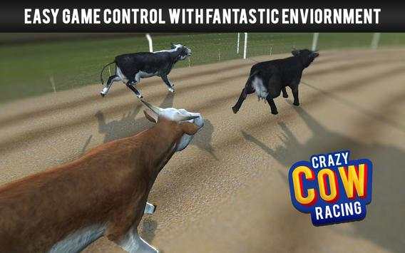 Crazy Cow Racing screenshot 1