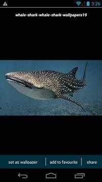 Whale Shark Wallpapers screenshot 2