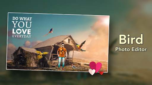 Bird Photo Editor screenshot 1