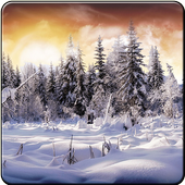 Winter Wallpaper 2016 icon