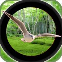 Forest 3D Birds Hunting - Sniper Shooting