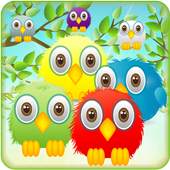 Birds Shooter 1.0.1