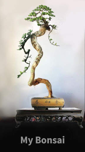 My Bonsai screenshot 5