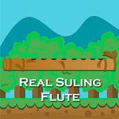 Real Suling - Suling Mini Dangdut 1.0