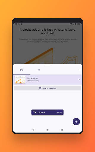 Zibb Browser screenshot 5