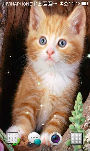 Cat Live Wallpaper HD 4K screenshot 6