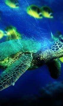 Turtle wallpapers screenshot 4