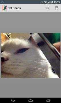 Cat Snaps screenshot 2