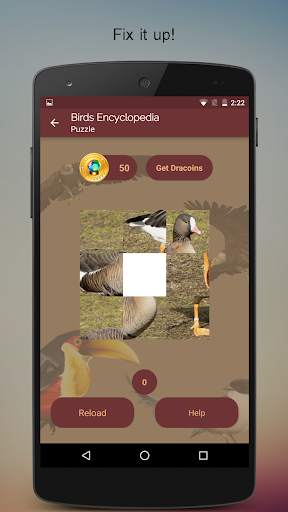 Birds Encyclopedia Offline App screenshot 5