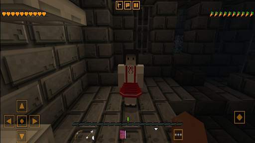 Super Craft screenshot 4