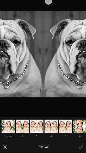 Photo Editor screenshot 2